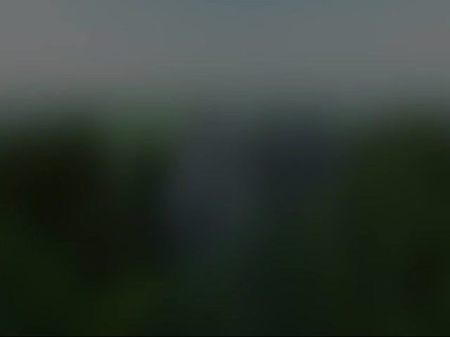 No Flash found